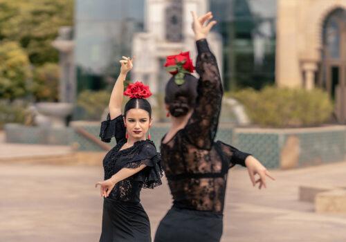 Flamenco Tours
