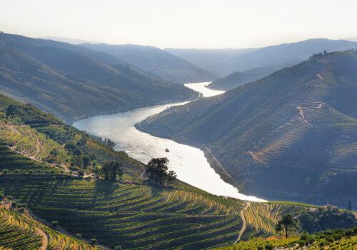 amazing views of douro vineyards and river from valenca
