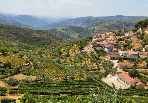 scenic view of alto douro vinhateiro