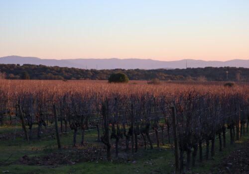 alvaro-carrilho-A77CxsPpvZI-unsplash