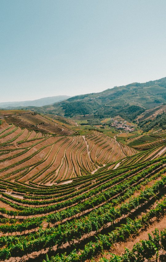 Douro Valley Tour